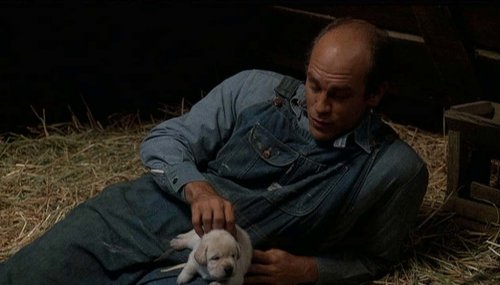 why does lennie get angry at the puppy
